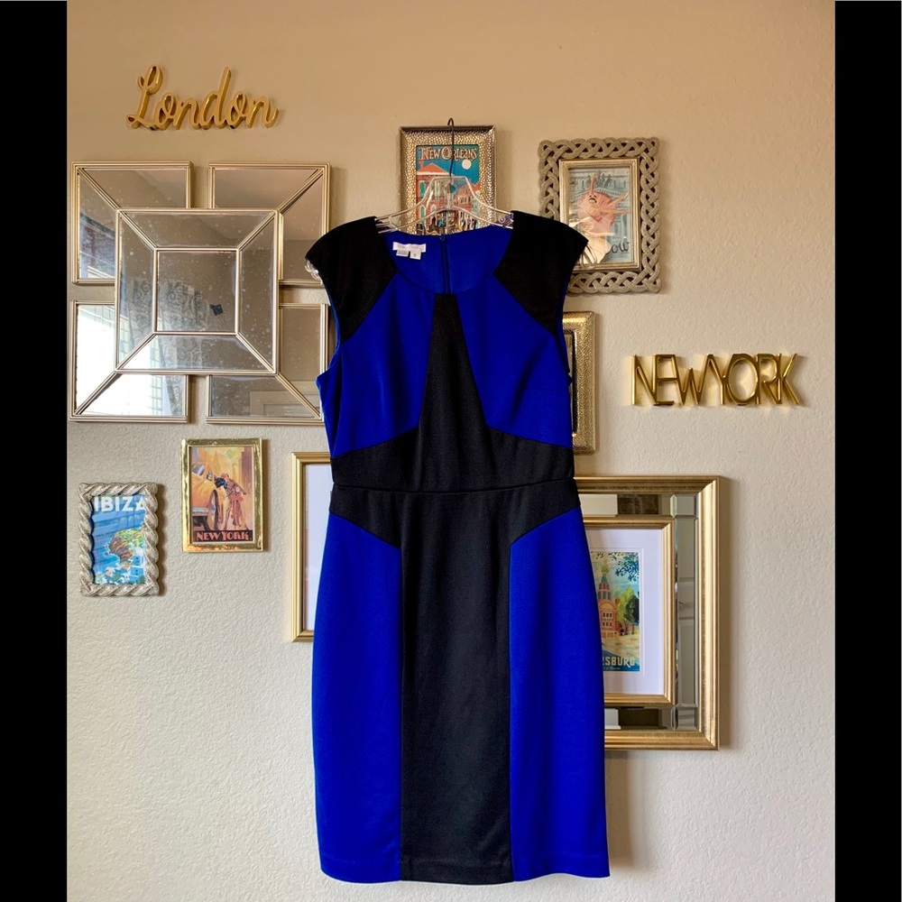 Cobalt Blue and Black Color Block Striped Dress